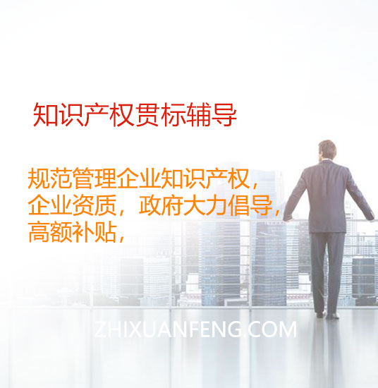 知识产权贯标(咨询服务)